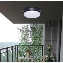 OEM Balkon Lambası Teras Lambası Artos 15W Yuvarlak Siyah Banyo Lambası 6400K Beyaz Işık Tavan Lambası (Siyah)