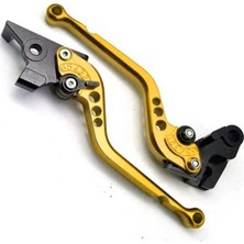 Bajaj Pulsar Ns 200 Uyumlu Spor Manet Gold