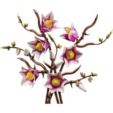 Aesco Mey Ithalat® 11510  Botanicals Manolya Dalları+18 Yaş