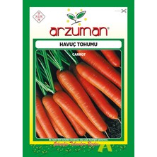 OEM Nantes Havuç Tohumu, 10GR