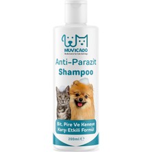 astraltech kedi köpek parazit şampuanı bit pire parazit  tarağı tasması ıle kullanım