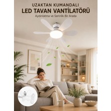 Zenvia Znv Yüksek Aydınlatma Performansına Sahip LED Tavan Fanı Sessiz Çalışma Güçlü Esinti ve Uz