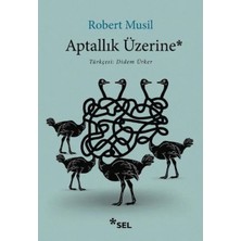 Aptallık Üzerine