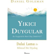 Yıkıcı Duygular