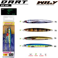 Wily Dart Jig 30 gr