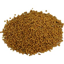 Hardal Tohumu Tane Doğal Sarı 100 gr Paket