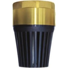 1 Inch Yaylı Dip Klape