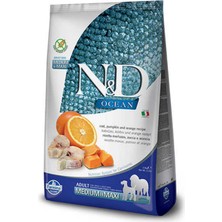 N&d Ocean Tahılsız Balkabaklı Portakallı ve Morina Balıklı Yetişkin Köpek Maması 12 kg