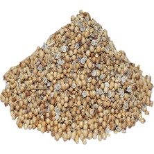 Kişniş Doğal Tane 1000 gr Paket