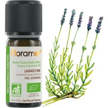 Florame Tıbbı Lavanta (Lavandula Angustıfolıa) 10 ml
