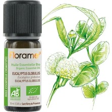 Florame Organik Okaliptus Globulus Uçucu Yağı (Eucalyptus globulus)-10 ml