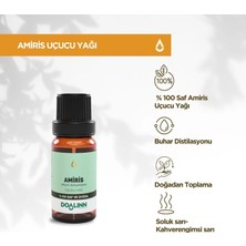 Doalinn Amiris Uçucu Yağı 10 ml