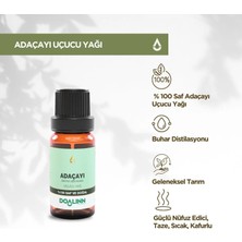 Doalinn Adaçayı Uçucu Yağı 10 ml