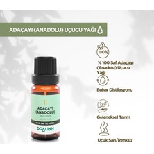 Doalinn Anadolu Adaçayı Uçucu Yağı 10 ml.