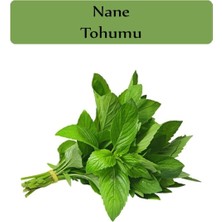 OEM Nane Tohumu 1 Paket (0,02GR)