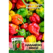 OEM 20 Adet Habanero Biber Tohumu