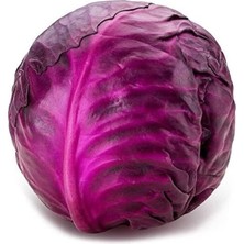 OEM Kırmızı Lahana Tohumu 1 Paket (10GR=2000+ Adet) Kırmızı Lahana Mohrenkohf Tohumu