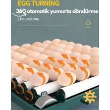 Dunai Store Kuluçka Makinesi 130 Tavuk Yumurtalı Extra Yedek Motorlu Incubator