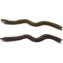 Fladen Vermz Kum Solucanı 9.5 cm 15P