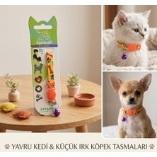 Nanbell Yavru Kedi ve Küçük Irk Köpek Tasması(Zillidir)