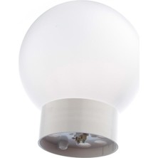 OEM Tavan Glop Armatür, 60 Watt