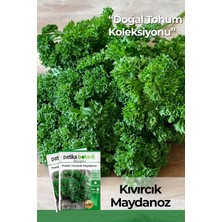 OEM 2500 Adet Frenk/kıvırcık Maydanoz Tohumu