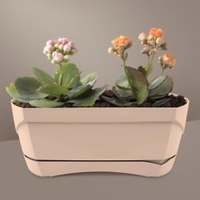 OEM Modern Balkon Saksı (Kahve, 5 Litre)