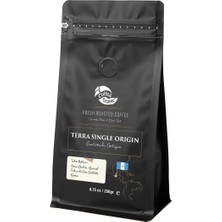 Coffeetropic Guatemala-Antigua Çekirdek Kahve | 250 gr