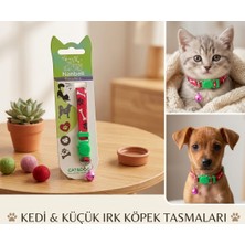 Nanbell Yavru Kedi ve Küçük Irk Köpek Tasması(Zillidir)