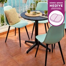 Vilinze Tilia Plastik Bahçe Balkon Bistro Seti Katlanır Masa 60*60 cm (1+4 Set)