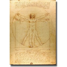 Rosaart Leonardo Da Vinci Vitruvius Adamı Çerçevesiz Poster