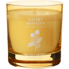 Mudo Home GLORY MIMOSA MUM 200GR