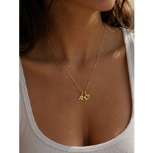 Sirius Jewelry 925 Gümüş | Çiçekli Doğum Ayı Taşlı Harf Kolye