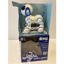 Angel Of Life 6601 Uzk Kumandalı Dans Edebilen Robot Köpek -Zrv