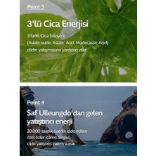 Vavis Aqua Deep Calming Ampoule Nemlendirici Yatıştırıcı Serum Hyaluronik Asit Cica 50 ml