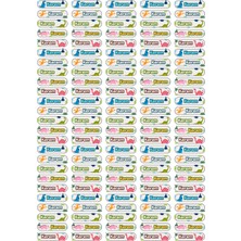 Atatuğ Hediyelik Kişiye Özel 125 Adet Dinozor Konseptli Kalem Etiketi - A4 Parlak Kuşe Sticker