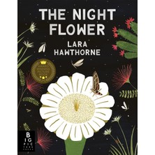Vavis The Night Flower
