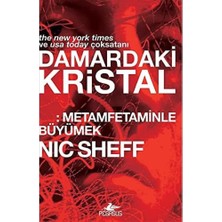 Vavis Damardaki Kristal: Metamfetaminle Büyümek