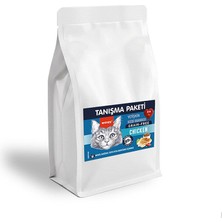 Wanpy Tahılsız Tavuklu Yetişkin Kedi Maması 500 gr