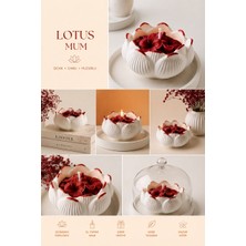Renkli Lotus Tabakta Dekoratif Mum
