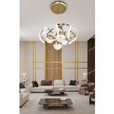 Nord Light Gold 4 Toplu 3 Renk LED Salon Avizesi Modern Dekoratif Avize NL-1001