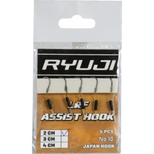 RYUJI Lrf Hırsız Assıst Hook Iğne No:10, 4cm (5 Adet)