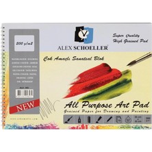 Alex Schoeller Alex Çok Amaçlı Resim Defter (25* 35 Cm)  200 Gram 15 Yaprak  (ALEX-893 )