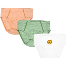Organickid Jungle Erkek Çocuk Slip 3'lü Set
