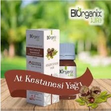Atkestanesi Yağı 20ML