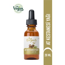 At Kestanesi Yağı 20 ml