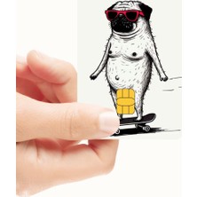Huggy Craft Gözlüklü Patenci Köpek Tasarımlı Kredi Kartı ve Akbil Kaplama Sticker