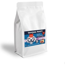 Wanpy Tahılsız Ördekli Yetişkin Köpek Maması 500 gr