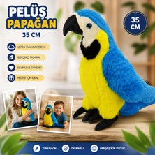 Trust Store Oyuncak Peluş Papağan 35 cm Gerçekçi Tasarım Ultra Yumuşak Sevimli Papağan Peluş