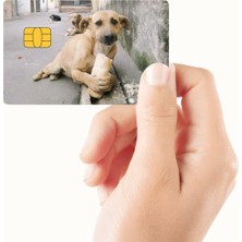 Huggy Craft Ekmek Yiyen Köpek Tasarımlı Kredi Kartı ve Akbil Kaplama Sticker